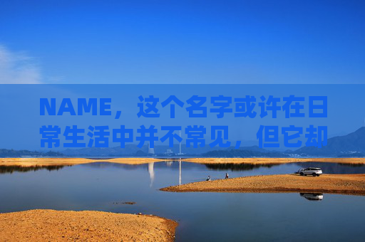 NAME，这个名字或许在日常生活中并不常见，但它却在某些领域里扮演着重要的角色。今天，让我们一起来探索这个名字背后的故事和意义
